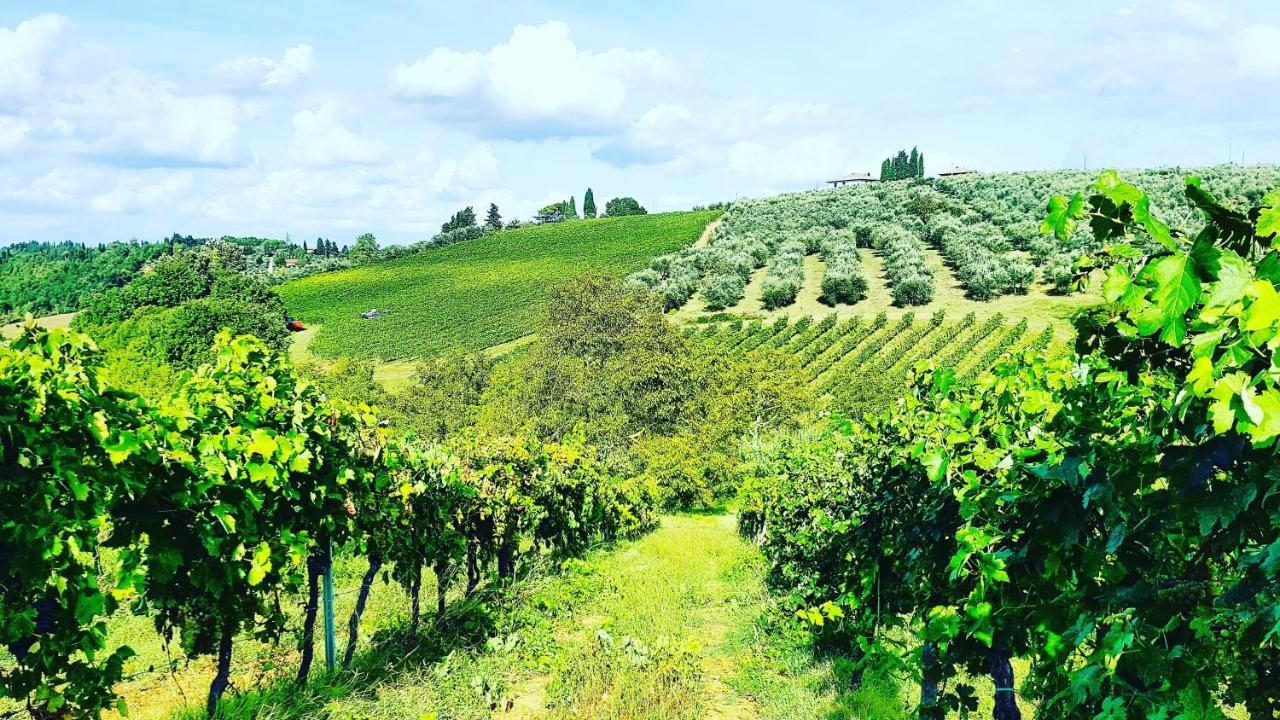 Agriturismo Sant'Ellero San Casciano in Val di Pesa Ngoại thất bức ảnh